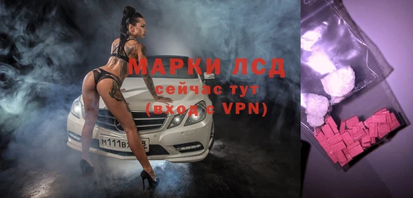 ПСИЛОЦИБИНОВЫЕ ГРИБЫ Алзамай