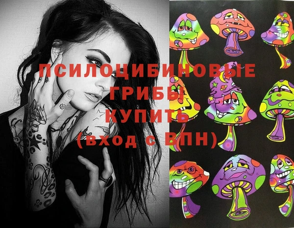 ПСИЛОЦИБИНОВЫЕ ГРИБЫ Алзамай