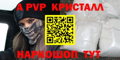 СК Бийск
