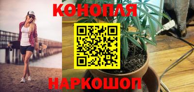прущие крисы Беслан