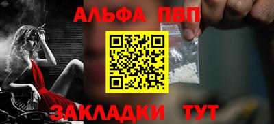 СК Бийск
