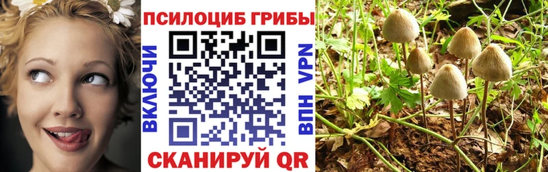 гидра зеркало  купить   Клин  Псилоцибиновые грибы прущие грибы 