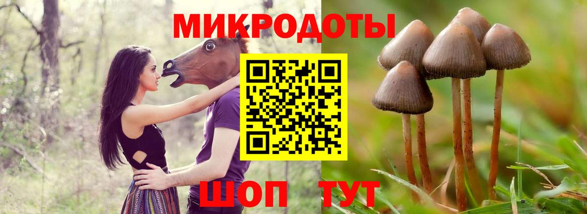 Псилоцибиновые грибы мухоморы  купить закладку  Клин  Вход с VPN 