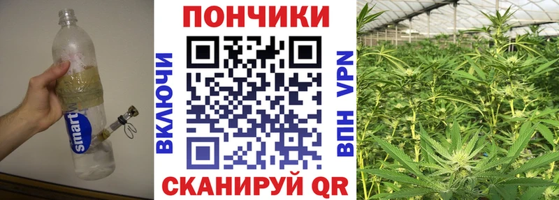 omg сайт  Клин  Конопля планчик 